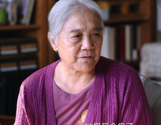 张国立版的小苹果筷子兄弟的小苹果全集-第2张图片-太平洋在线下载