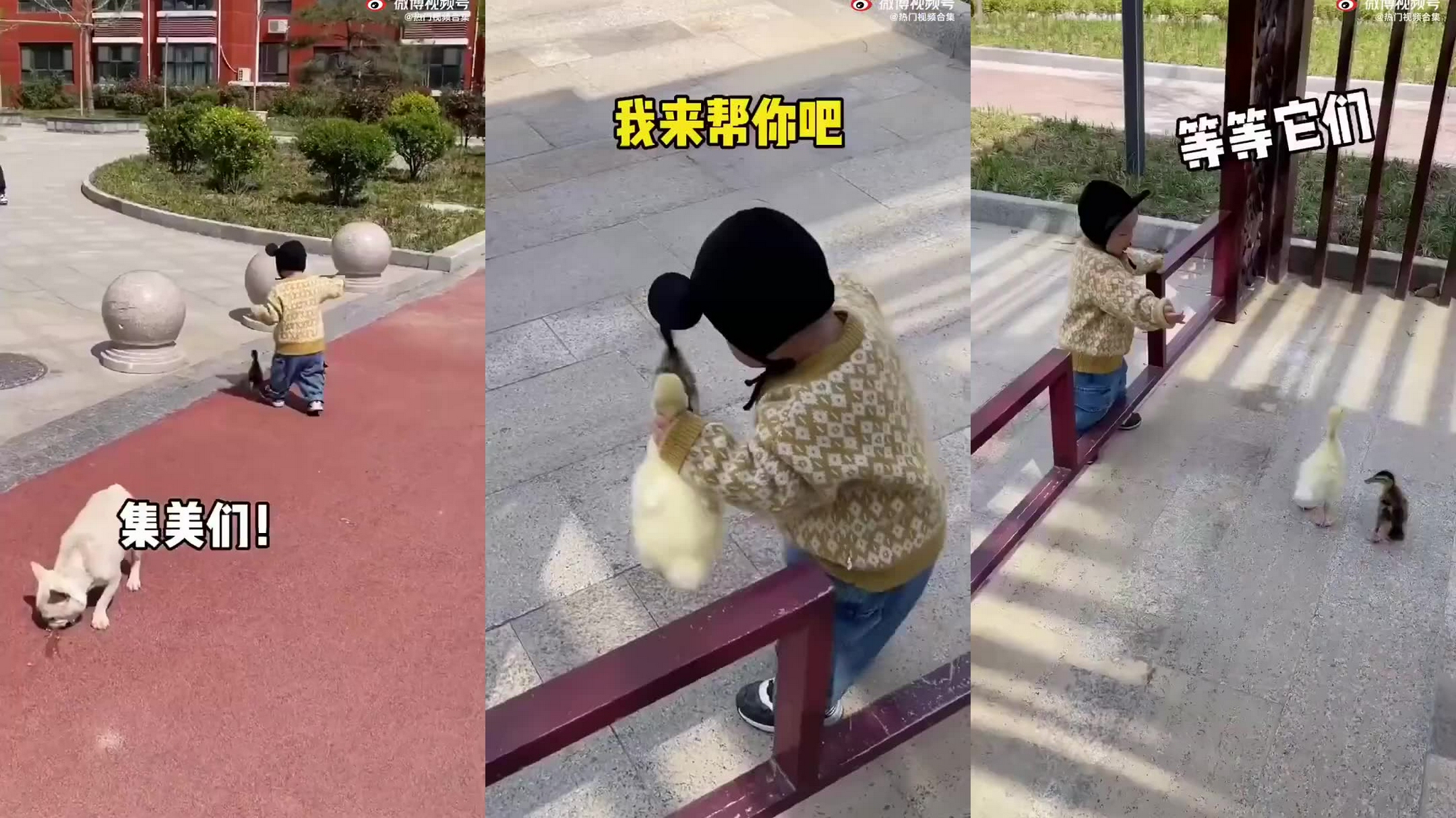 飞播app苹果版飞聊app下载苹果版-第2张图片-太平洋在线下载