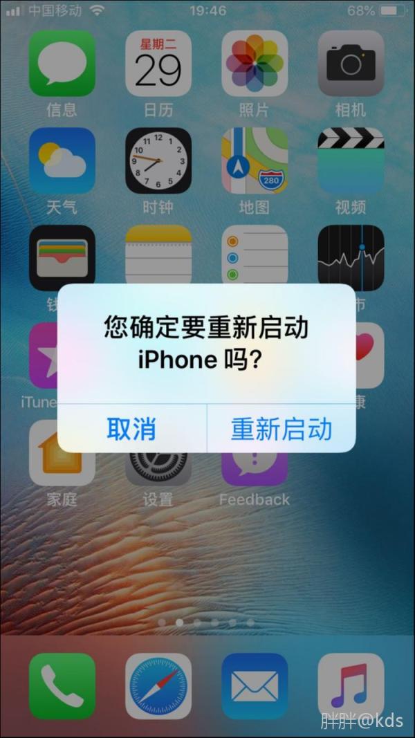 苹果动新闻安卓版头条苹果手机版下载