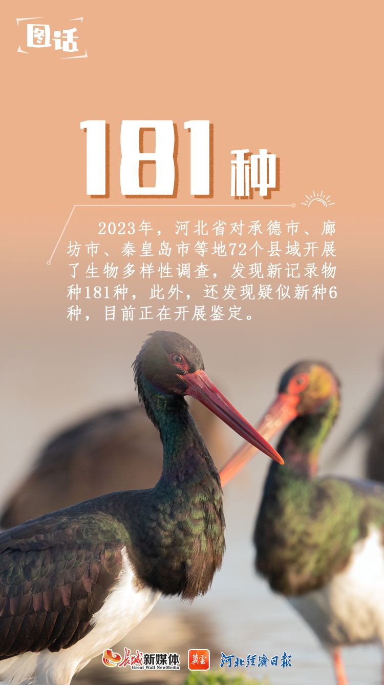 河北省客户端河北日报客户端下载二维码-第2张图片-太平洋在线下载