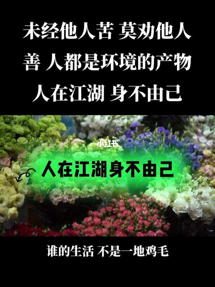 人在江湖下载手机版人在江湖下载迅雷下载-第2张图片-太平洋在线下载