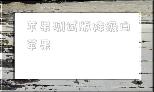 苹果测试版降级白苹果ios强制降级绕过验证