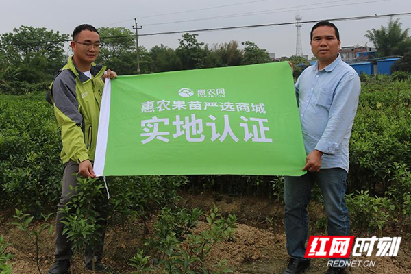 吉林惠农商城客户端吉林农商银行app下载安装官方