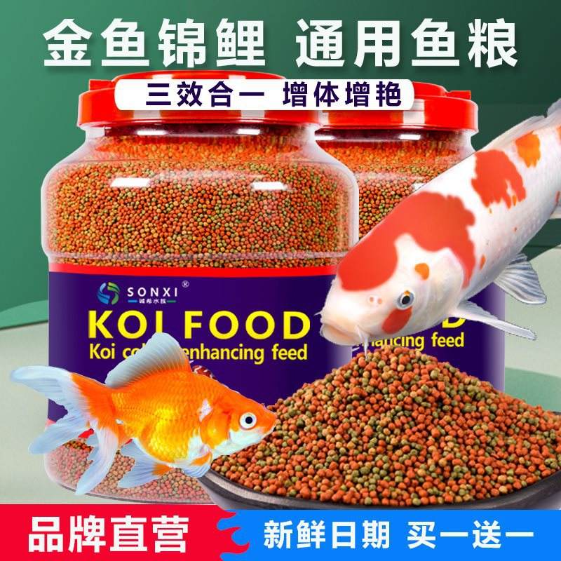 下载小金鱼客户端小丑鱼客服软件下载