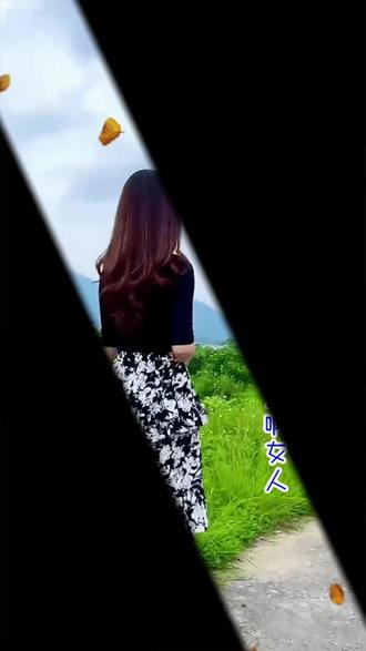 女人手机版vivo手机女士用哪款